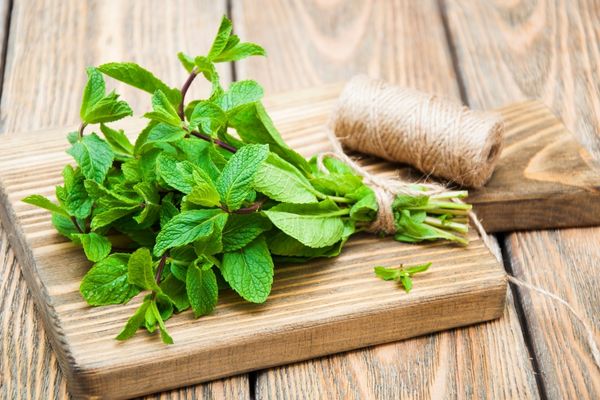 Foto - Midenizi koruyacak 10 sağlıklı besin! İşte sorunu tarihe karışıyor: sırrı öğrenildi, resmen sıfırlıyor