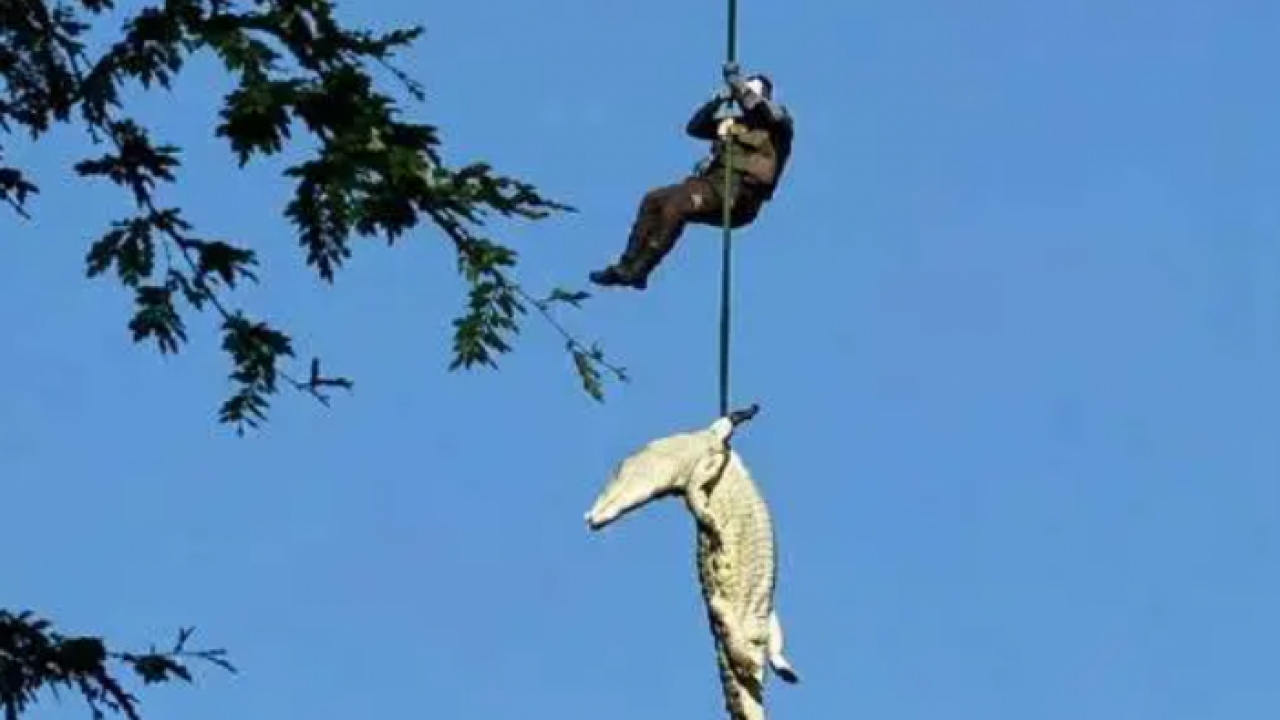 Midesinden çıkanlar dünyayı şok etti! Tam 7 tane...