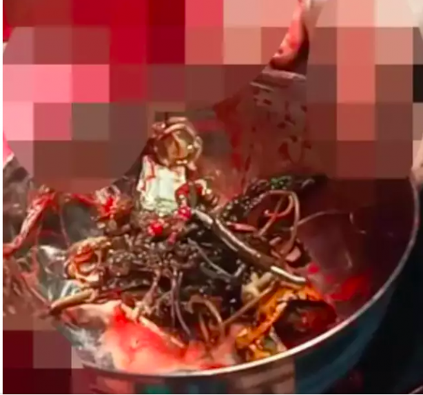 Foto - Midesinden çıkanlarla sergi açılır! Öyle şeyler çıktı ki doktorlar bile şaştı kaldı