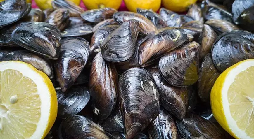 Midye Severler Dikkat! Lezzetli Tehlike saçıyor!