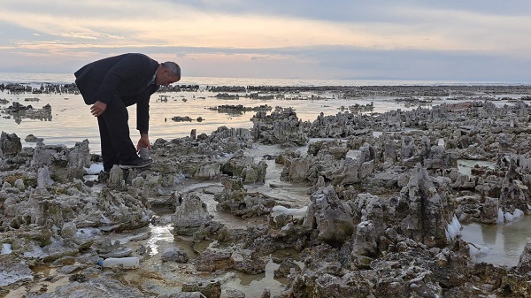 Foto - Mikrobiyalit tarlasına dönüştü! İşte Van Gölü sahilinin son hali
