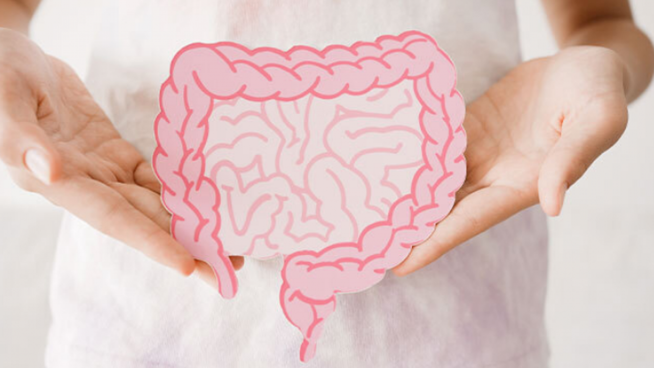 Mikrobiyolog Ali Rıza Akın kışa hazırlık için tüyo verdi: 3 basit öneri, beslenme tüyoları...