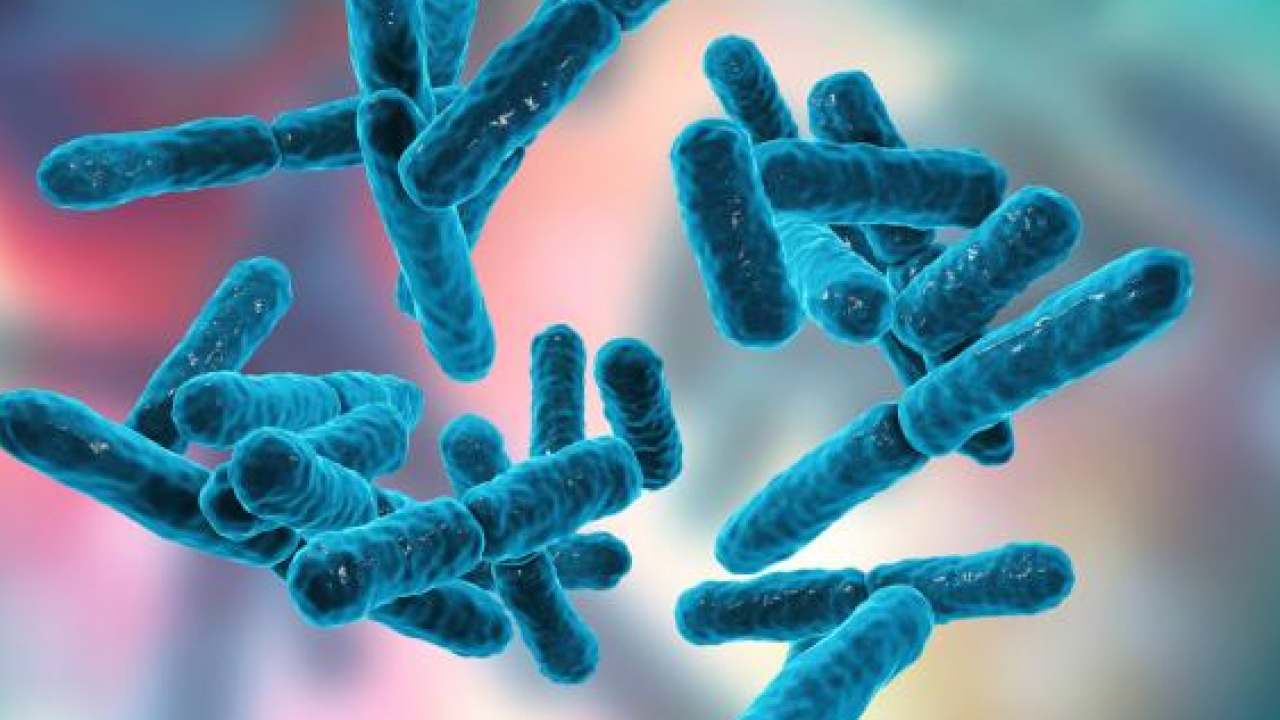 Foto - Mikrobiyolog Ali Rıza Akın kışa hazırlık için tüyo verdi: 3 basit öneri, beslenme tüyoları...