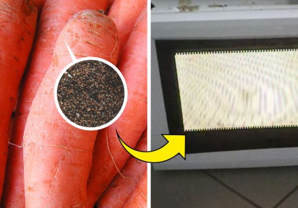 Foto - Mikrodalgada asla ısıtmamanız gereken besinler! Sakın yapmayın