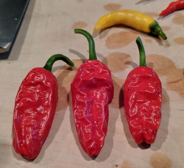 Foto - Mikrodalgada asla ısıtmamanız gereken besinler! Sakın yapmayın