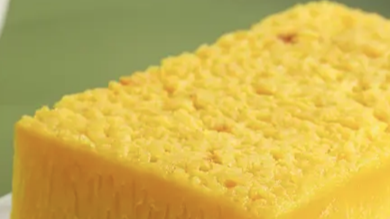 Mikroorganizmalar ve bakteri kolonisi... Bulaşık süngeri ne kadar kullanılmalıdır?