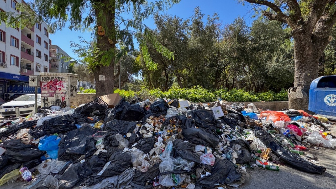 Foto - Mikrop kapan da var bacağında yara çıkan da: CHP’nin çöpleri salgına dönüşüyor