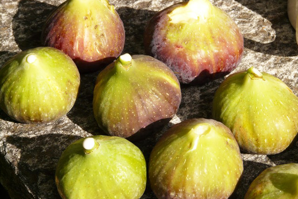 Foto - Mikropları yok edip yaraları iyileştiriyor