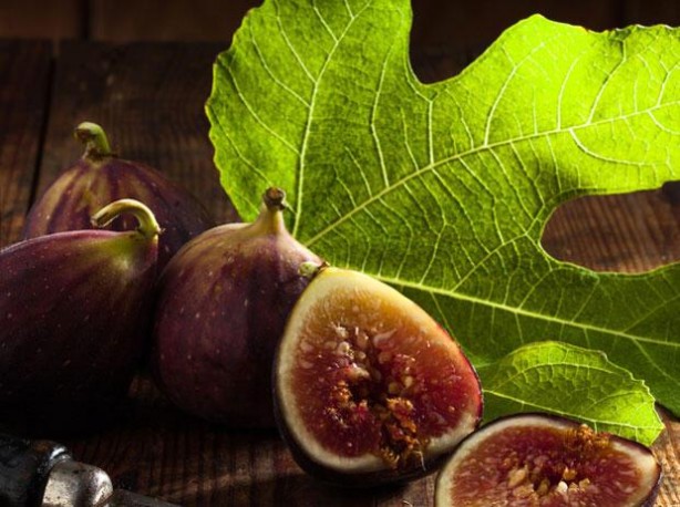 Foto - Mikropları yok edip yaraları iyileştiriyor