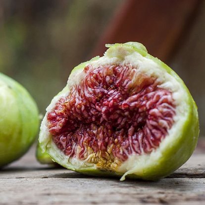 Foto - Mikropları yok edip yaraları iyileştiriyor
