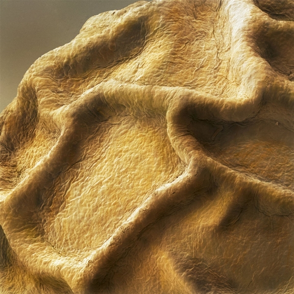 Foto - Mikroskoptaki görüntülerinden besinleri tanıyabilecek misiniz?