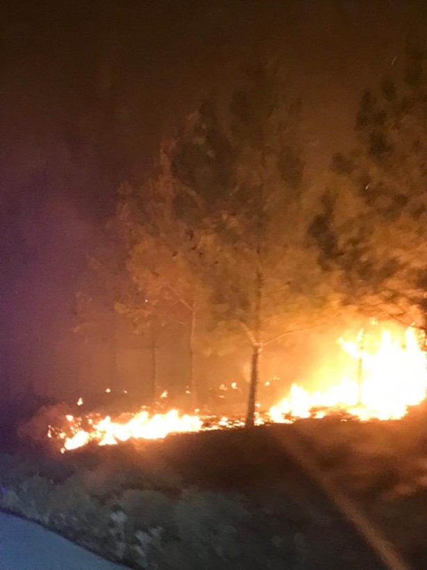 Foto - Milas’ta başlamıştı, Bodrum’a sıçradı! Yangın yerleşim yerlerini tehdit ediyor