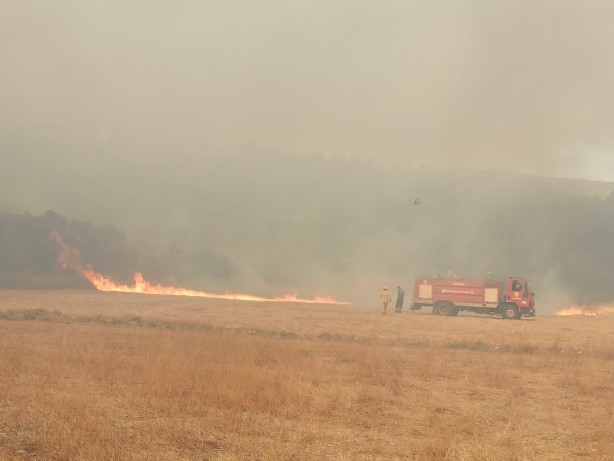 Foto - Milas'ta büyük yangın! Ekipler olay yerinde