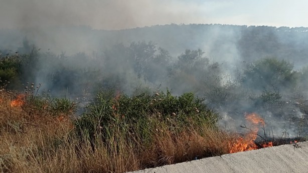 Foto - Milas'ta büyük yangın! Ekipler olay yerinde