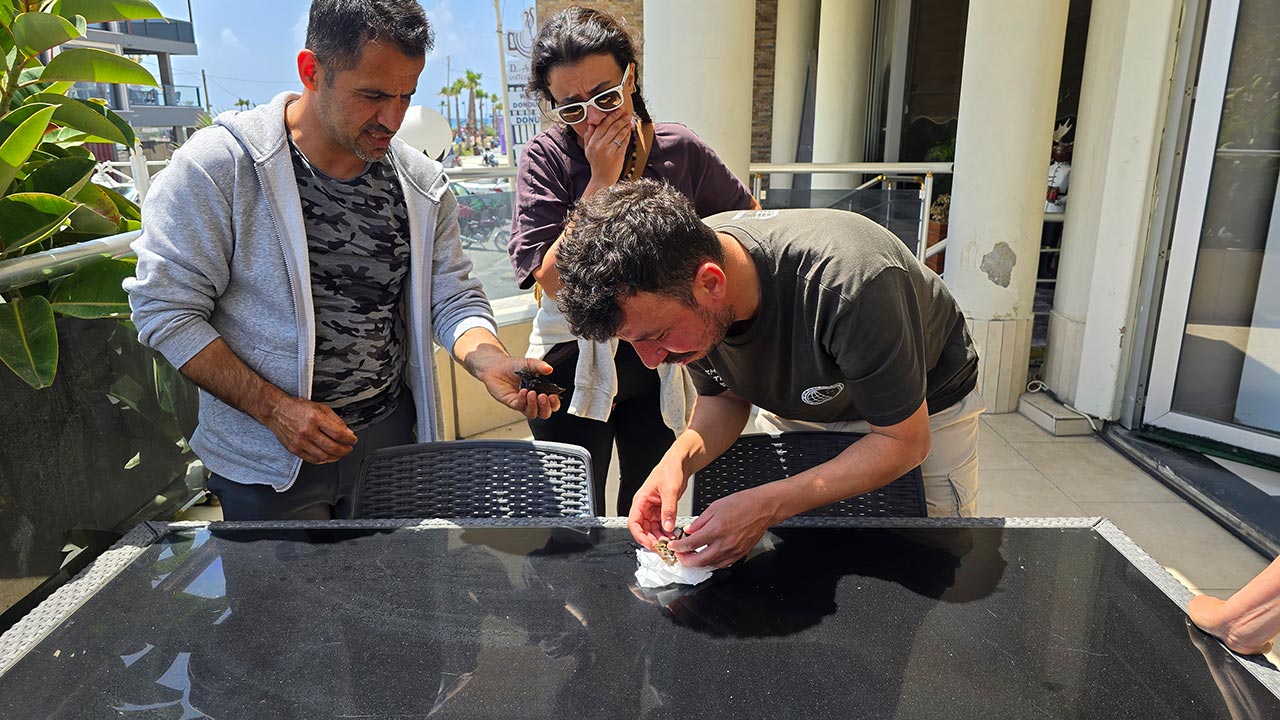 Milleyha’da kuşlara ölüm tuzağı! İşte o korkunç detaylar!