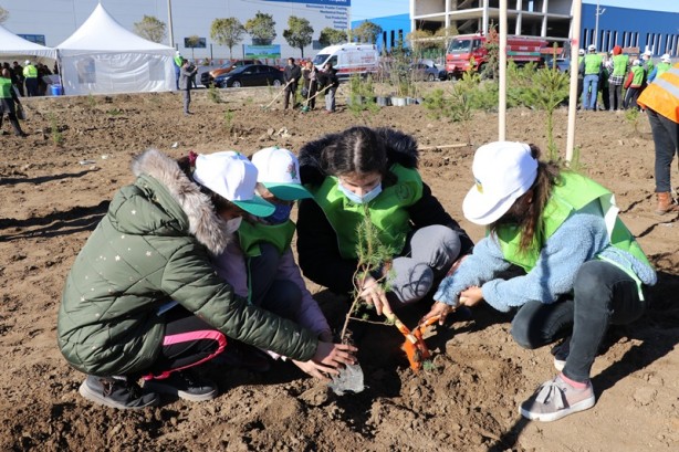 Foto - Milli Ağaçlandırma Günü! Erdoğan canlı bağlandı