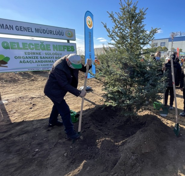 Milli Ağaçlandırma Günü! Erdoğan canlı bağlandı