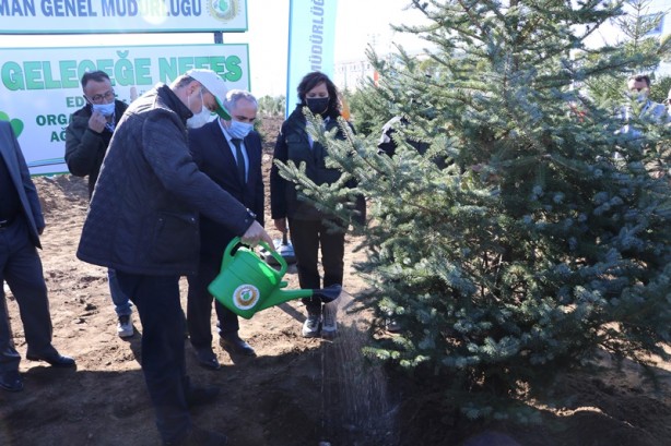 Foto - Milli Ağaçlandırma Günü! Erdoğan canlı bağlandı