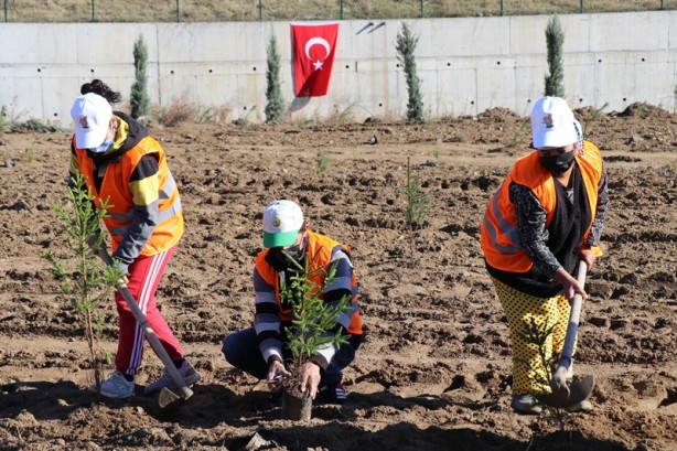 Foto - Milli Ağaçlandırma Günü! Erdoğan canlı bağlandı