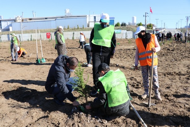 Foto - Milli Ağaçlandırma Günü! Erdoğan canlı bağlandı