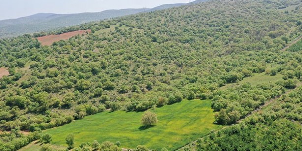 Foto - Milli Emlak arsa, tarla satışları! Satılık hazine arazileri ve metrekare fiyatları 2022!