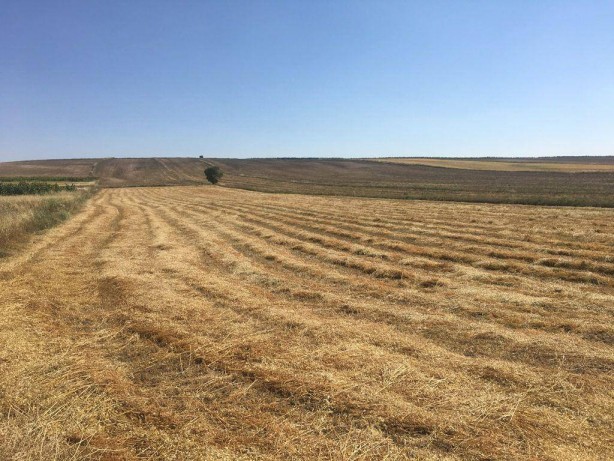 Foto - Milli Emlak'tan görülmemiş arsa fırsatı! 13 bin liraya tapu sahibi olabilirsiniz