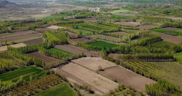 Milli Emlak'tan görülmemiş arsa fırsatı! 13 bin liraya tapu sahibi olabilirsiniz