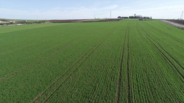 Foto - Milli Emlak'tan görülmemiş arsa fırsatı! 13 bin liraya tapu sahibi olabilirsiniz