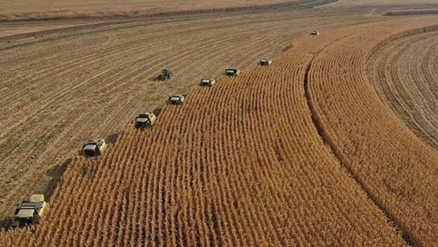 Foto - Milli Emlak'tan görülmemiş arsa fırsatı! 13 bin liraya tapu sahibi olabilirsiniz