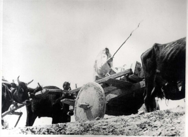 Foto - Milli mücadelenin "Nene Hatunları"
