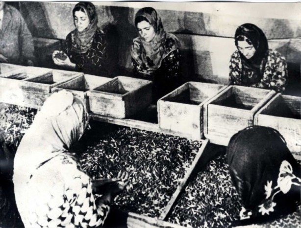 Foto - Milli mücadelenin "Nene Hatunları"