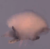 Foto - Sır gibi saklanıyordu! Milli Muharip Uçak Kaan'ın rakibi ortaya çıktı: Havada kayboluyor