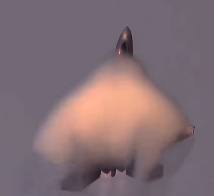 Sır gibi saklanıyordu! Milli Muharip Uçak Kaan'ın rakibi ortaya çıktı: Havada kayboluyor