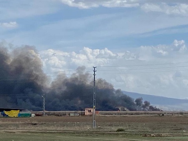 Foto - Milli Park cayır cayır yandı! 