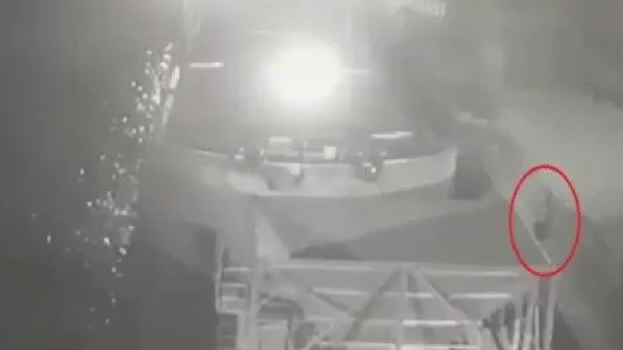 Foto - Halit Yukay'ı kurtarma çalışmaları yeniden başladı! 