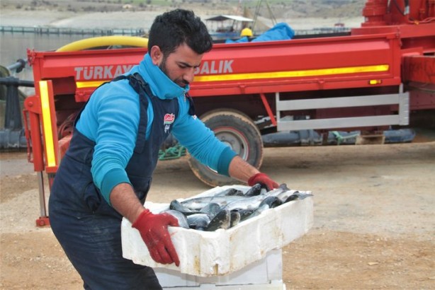 Foto - Milli servet değerinde! Avrupa ülkeleri almak için sıraya giriyor