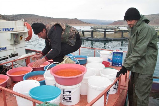 Foto - Milli servet değerinde! Avrupa ülkeleri almak için sıraya giriyor