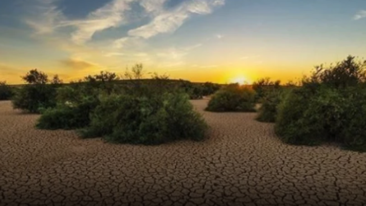 Milyonlar evini terk ediyor! İklim değişikliği küresel göçe zorluyor