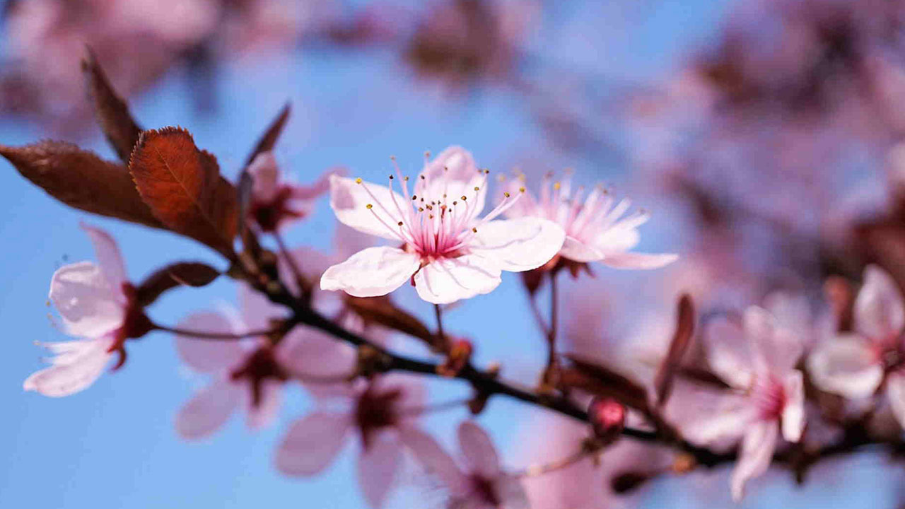 Foto - Milyonlar havalara uçacak! Bir resmi bayram daha geliyor