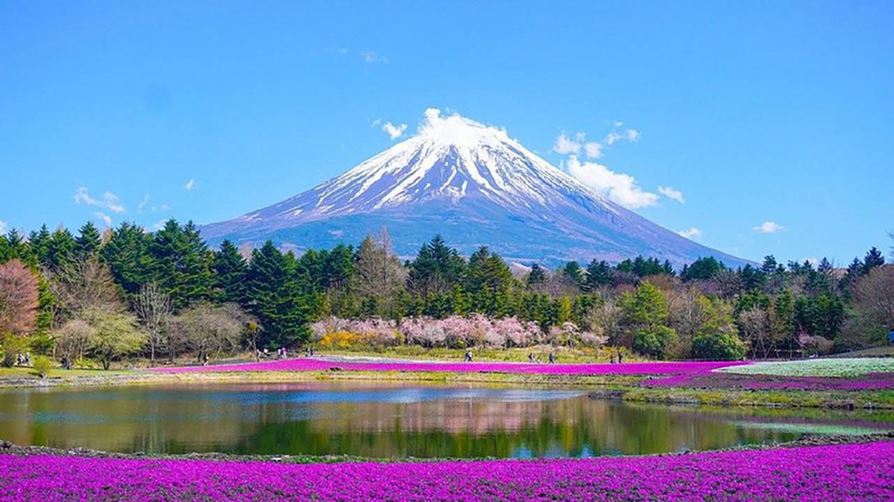 Foto - Milyonlara kısıtlama getirildi! 2 yıldır ücretsizdi, artık 1000 TL ödenecek