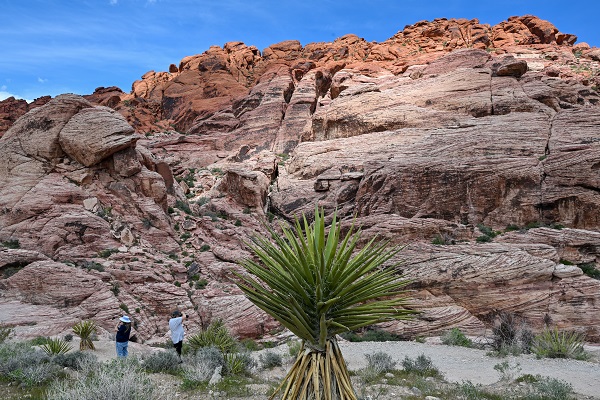 Foto - Milyonlarca kişi ziyaret ediyor! Sizce bu kanyon hangi ülkede? 