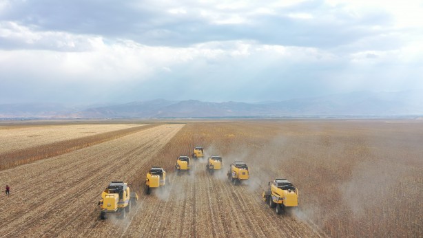 Milyonlarca lira! Ayçiçeğinden müthiş haber geldi