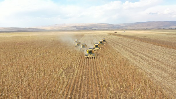 Foto - Milyonlarca lira! Ayçiçeğinden müthiş haber geldi