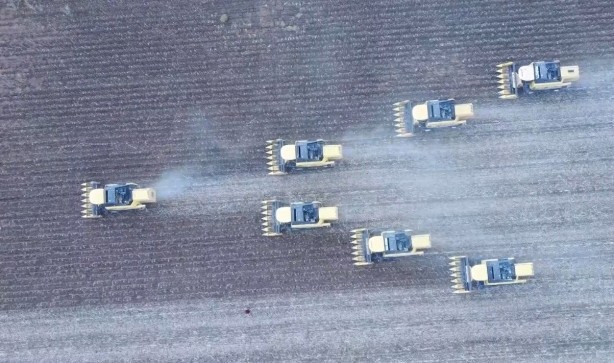 Foto - Milyonlarca lira! Ayçiçeğinden müthiş haber geldi