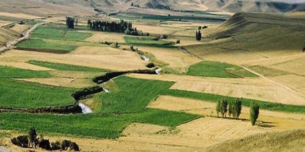 Foto - Milyonlarca tapu sahibini ilgilendiriyor! Apar topar harekete geçildi! O araziler hakkında flaş karar