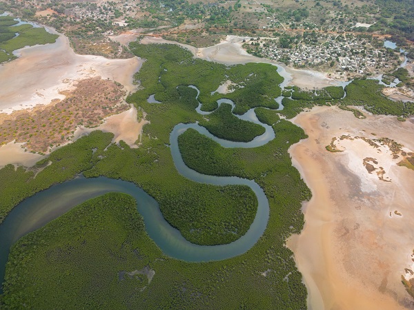 Foto - Milyonlarca turist ziyaret ediyor! Dünyanın konuştuğu kıyı ormanı: Mangrovlar