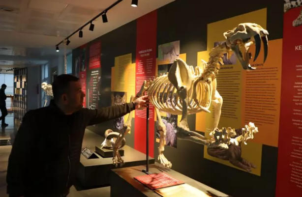 Foto - Milyonlarca yıllık fosiller il kez sergilenecek