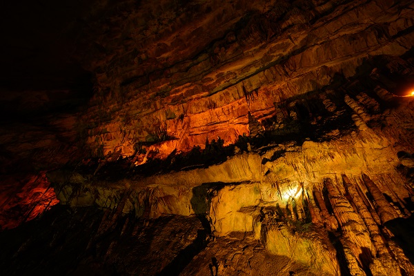 Foto - Milyonlarca yıllık mercan fosiller hayran bırakıyor