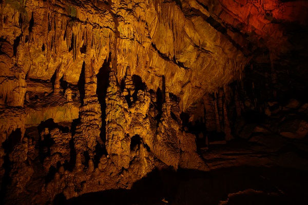 Foto - Milyonlarca yıllık mercan fosiller hayran bırakıyor