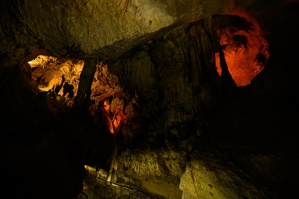 Foto - Milyonlarca yıllık mercan fosiller hayran bırakıyor